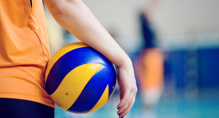Adult Coed Volleyball
